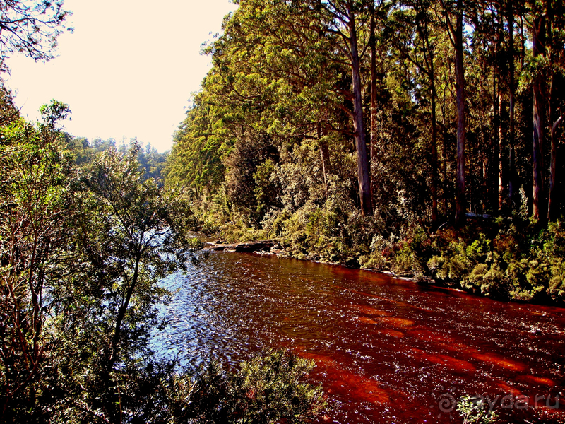 Австралия. Тасмания