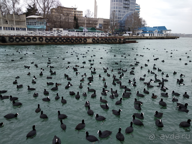 Севастополь в феврале
