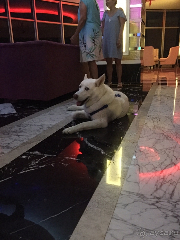 Идеальный отель для спокойного отдыха