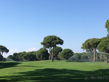  Полное соответствие цена-качество!