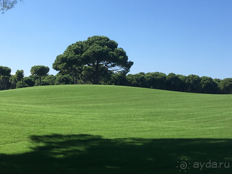  Полное соответствие цена-качество!