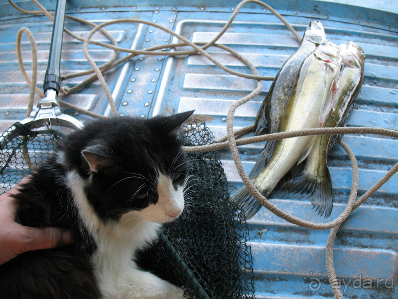 Усадьба Теплень, Вселуг Селигер - С удовольствием приезжаем на отдых с нулевых годов