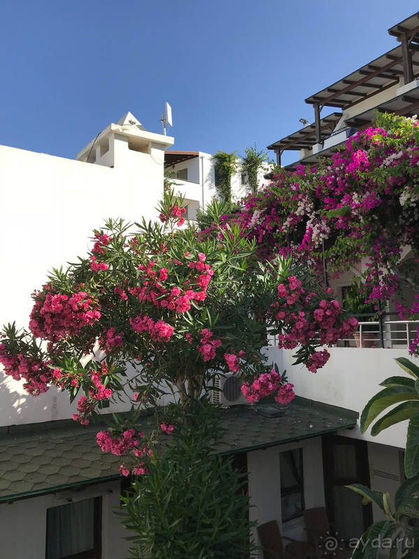 Замечательный отель!