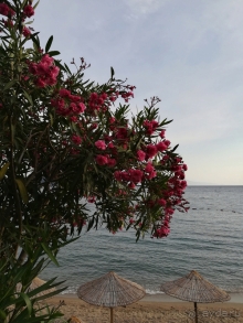 Отличный отель для спокойного отдыха