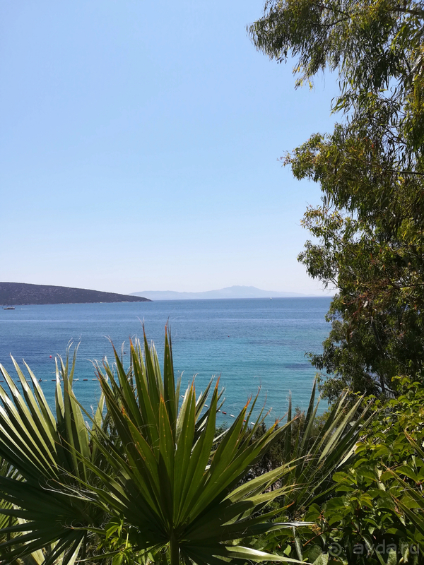 Отличный отель для спокойного отдыха