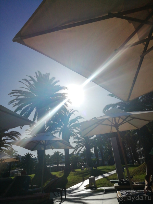 Есть как и плюсы, так и минусы. В целом на твердую 4. 