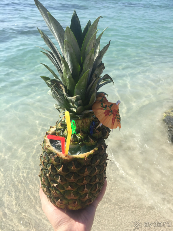 Отдых на курортах Айя-Напа и Протарас