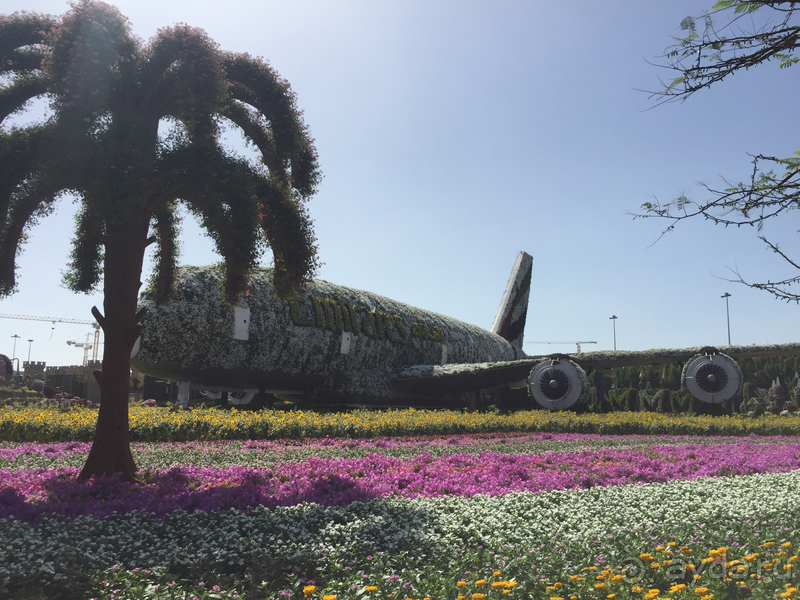 Отдых в ОАЭ