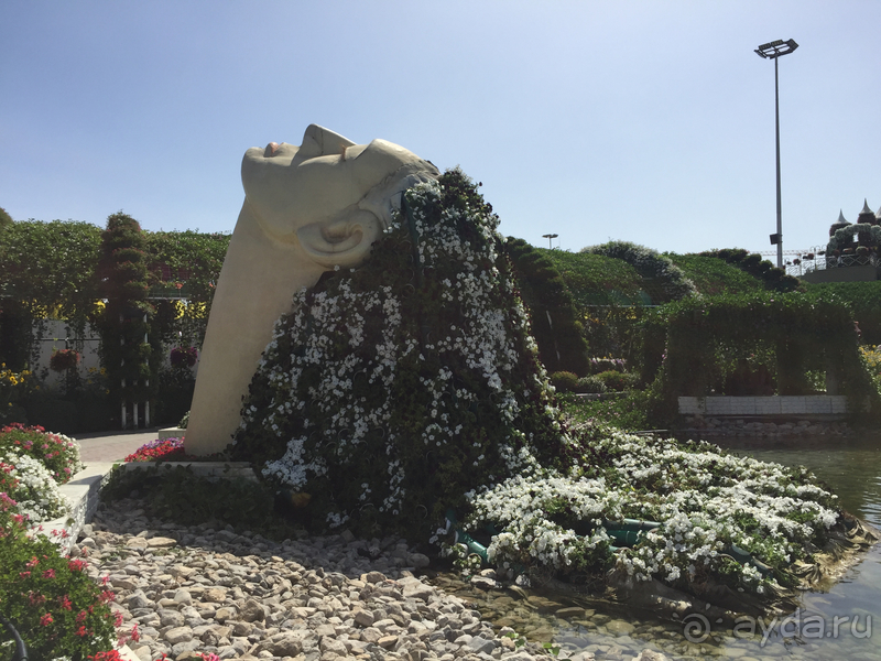 Отдых в ОАЭ