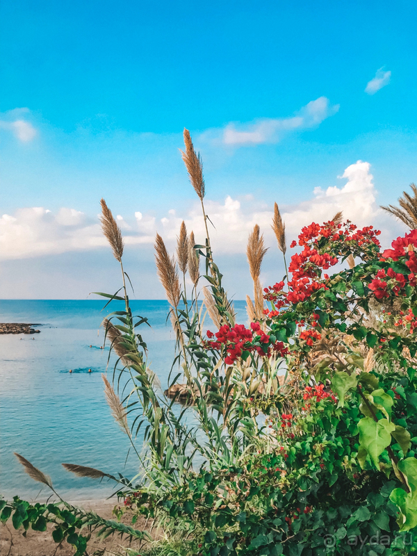 Отель с качественным сервисом и домашней атмосферой