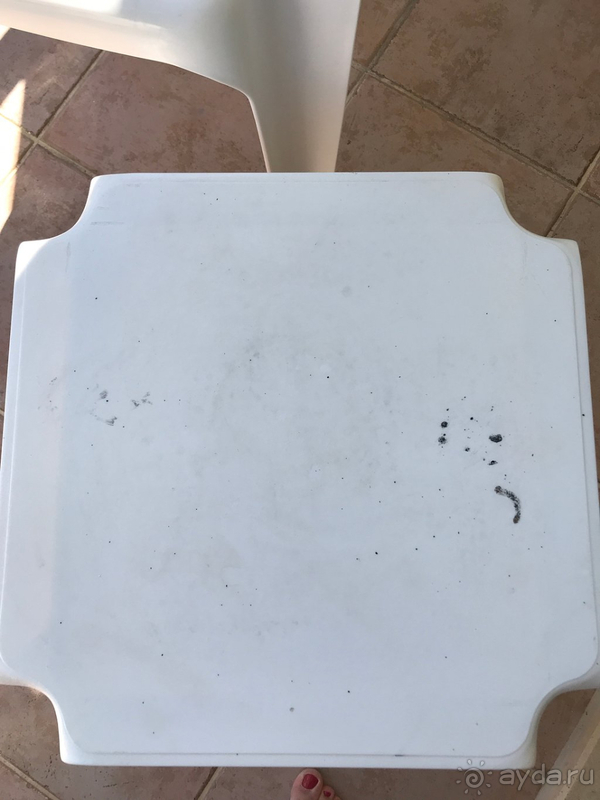 фото Gypsophila Holiday Village