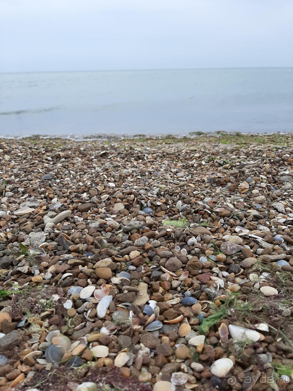 Семейный отдых по приемлемой цене