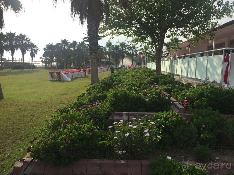 Замечательный отель для семей с детьми!