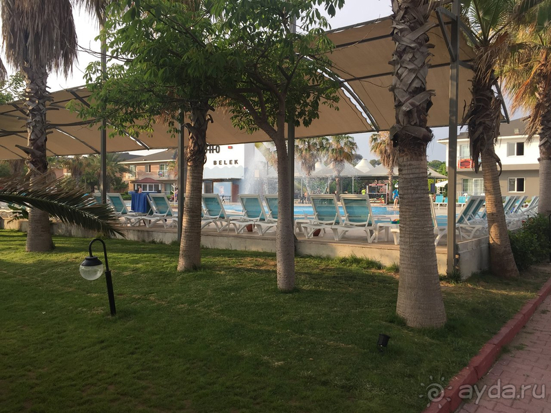 Замечательный отель для семей с детьми!