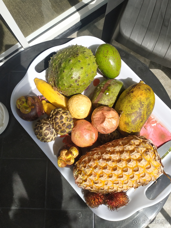 Пляжный отдых в Хиккадуве 