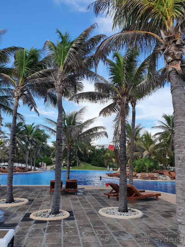 Карибский OASIS