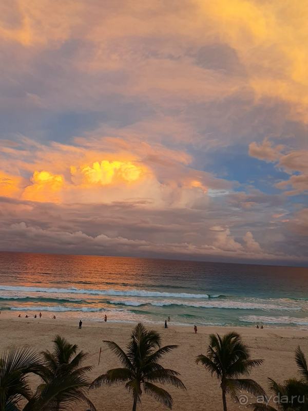 Карибский OASIS