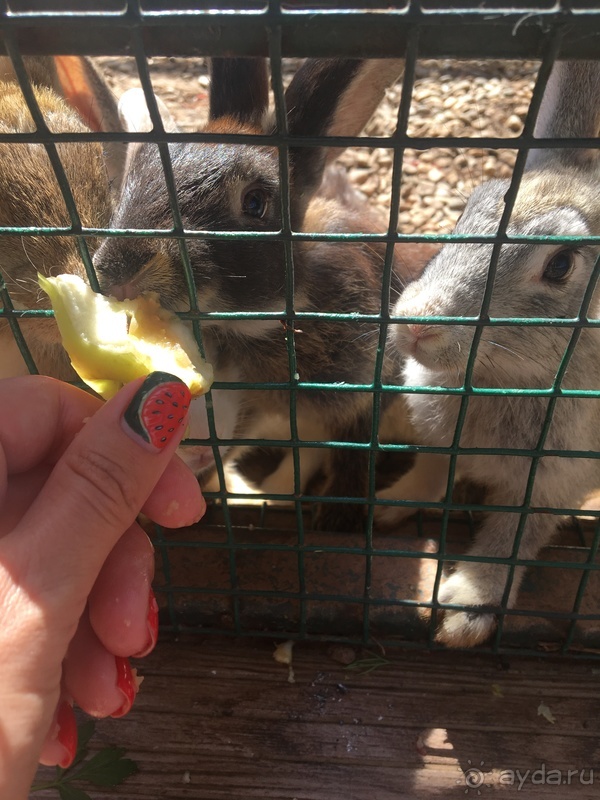 Haydarpasha -это любовь навсегда!!! 