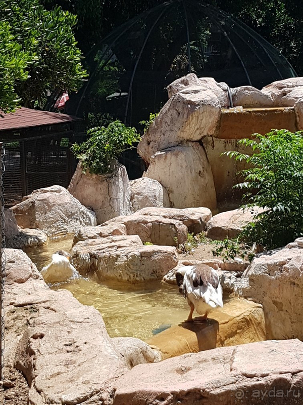 Хороший отель для отдыха с маленькими детьми. 