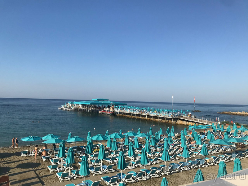 Не оправдал всех ожиданий