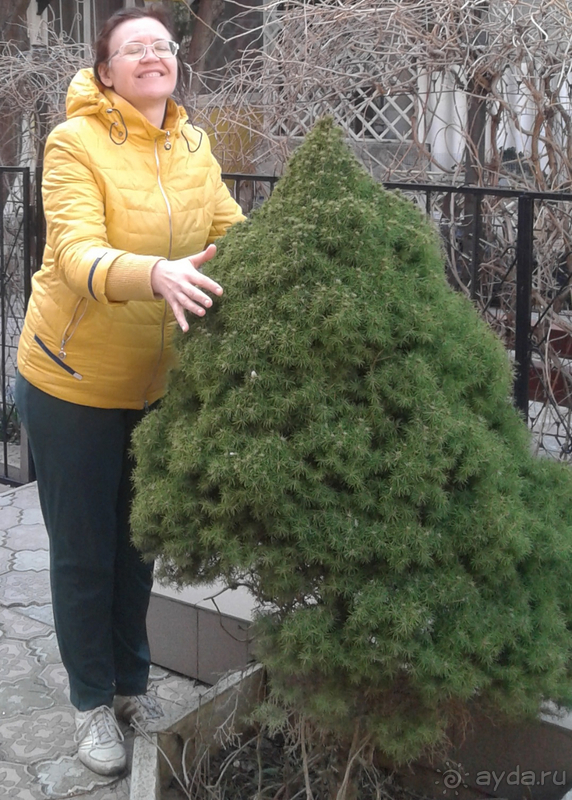 Хороший отель в межсезонье для экскурсий