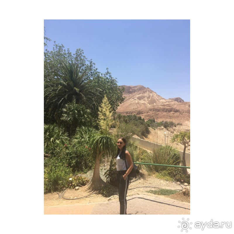 Отдых в отеле