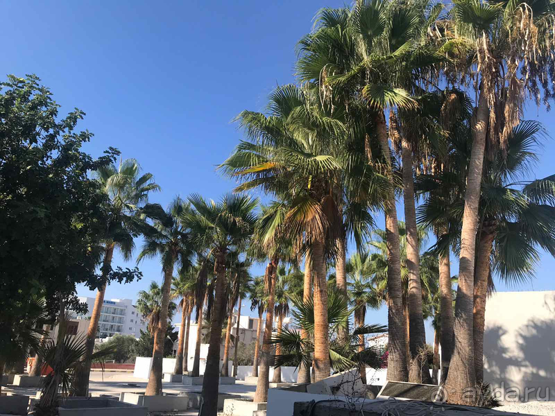 Отдых на Кипре - Fedrania Gardens Hotel