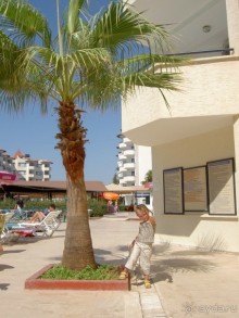 Отель однозначно тянет на 4*+, кроме номеров.