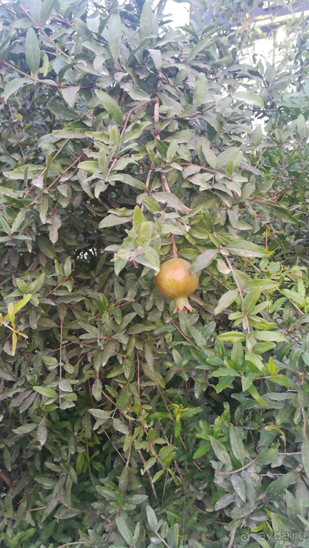 Очень шикарный новый отель. 