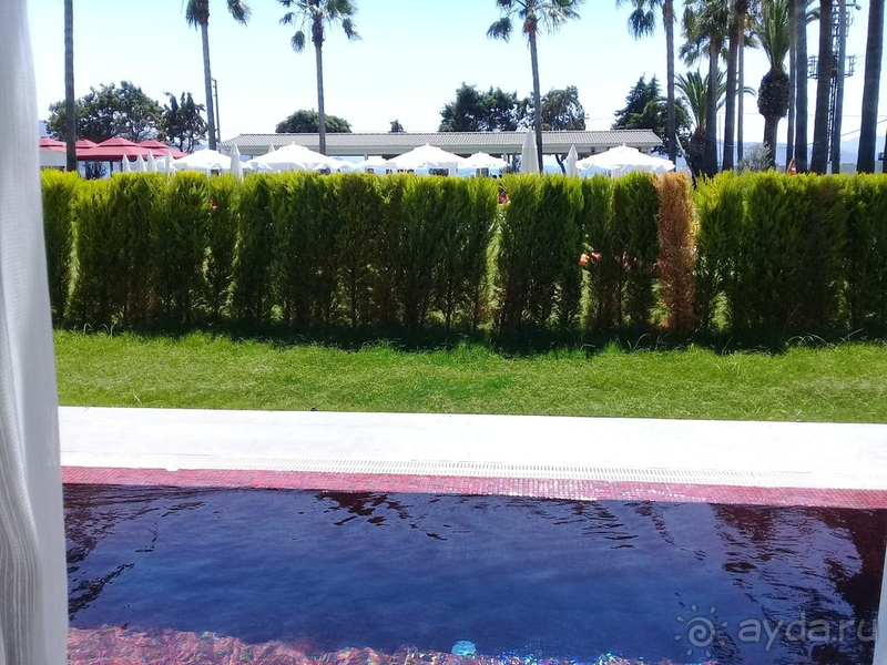 Классный отель! Классный отель!