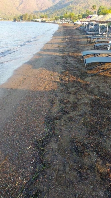 Риск благородное дело, но не в этом случае. Риск благородное дело, но не в этом случае.