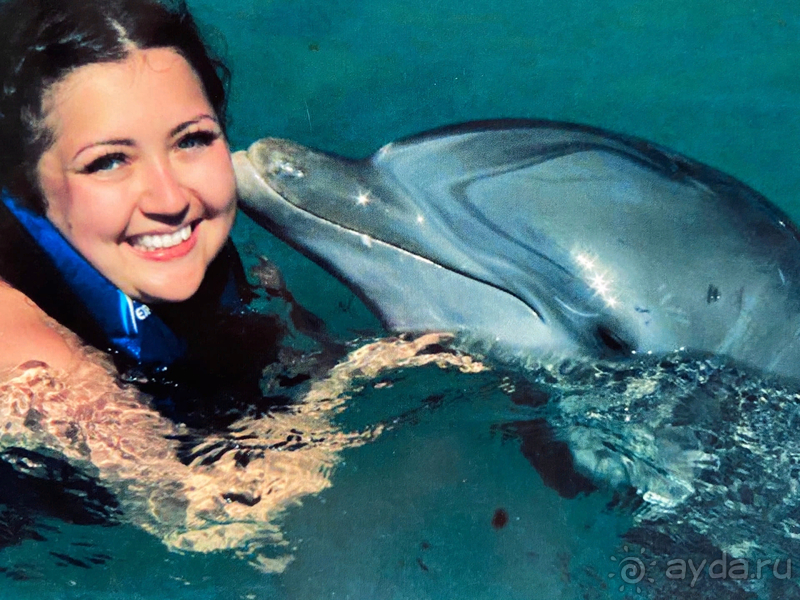 общий отзыв об отдыхе