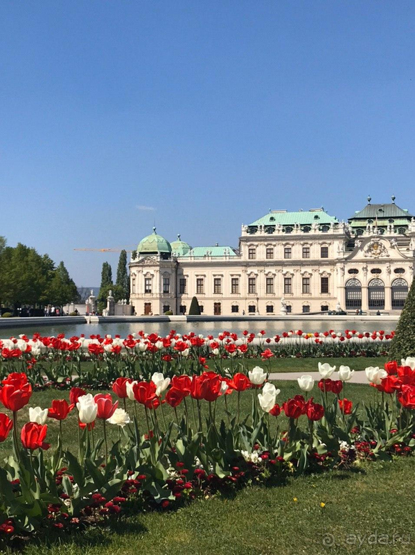 Wien ist Liebe auf den ersten Blick