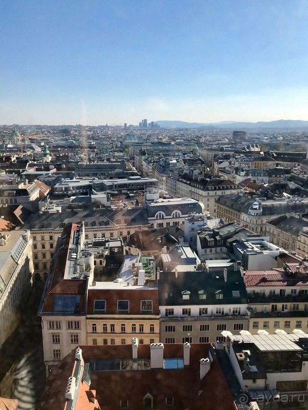 Wien ist Liebe auf den ersten Blick