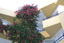 Хороший отель для семейного отдыха