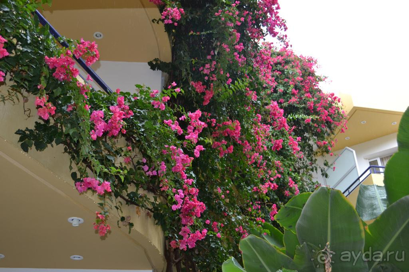 Хороший отель для семейного отдыха