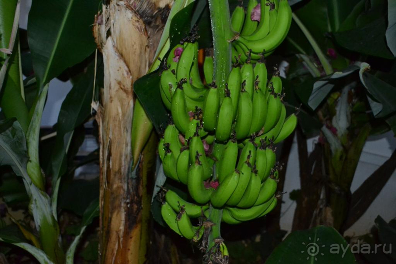 Хороший отель для семейного отдыха