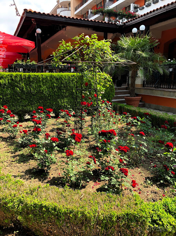 Отличный отель к красивой зеленой территорией в центре курорта