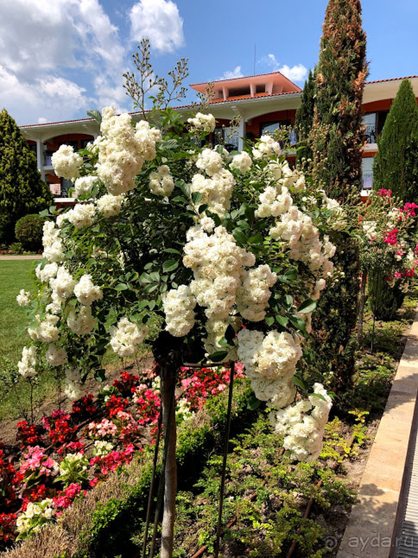 Отличный отель к красивой зеленой территорией в центре курорта