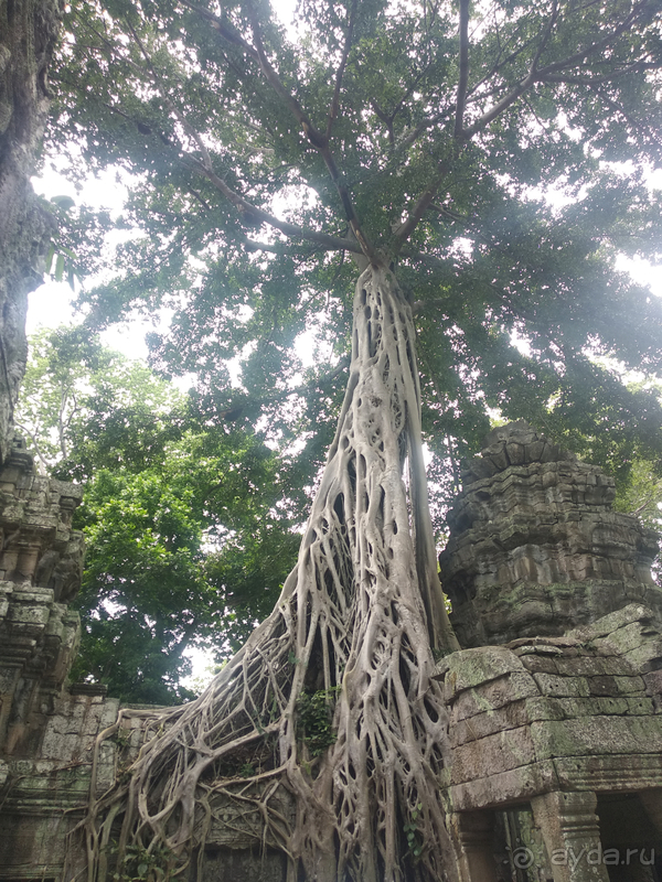 "Путешествие в Ангкорват"