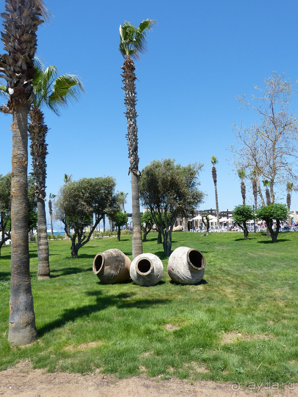 Отзыв о новом отеле Paloma Orenda в Сиде