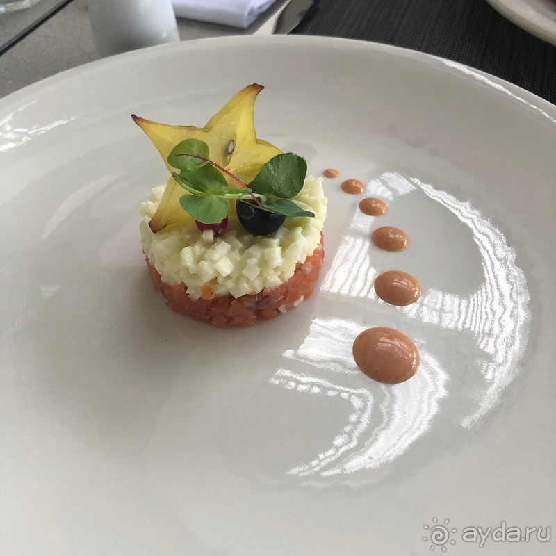 Отзыв о новом отеле Paloma Orenda в Сиде