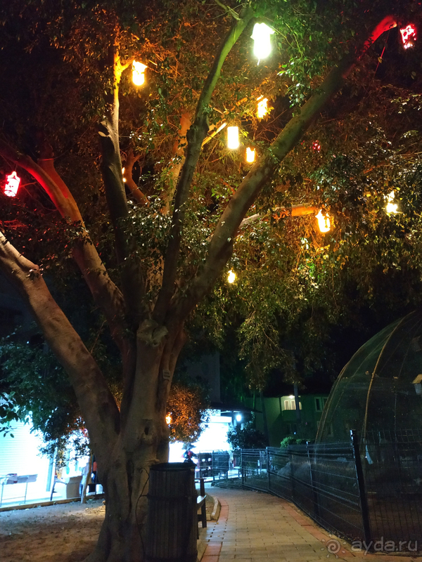 Спонтанный отдых