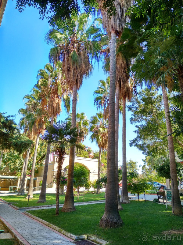 Спонтанный отдых