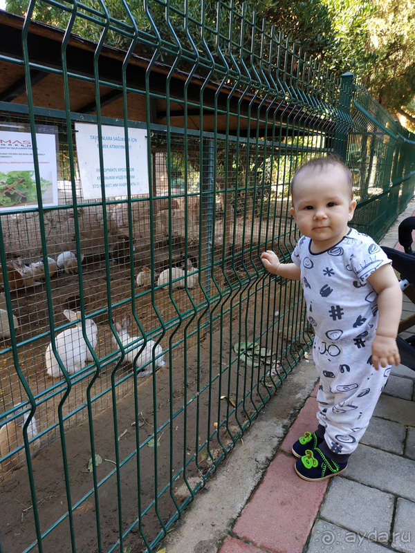 Спонтанный отдых