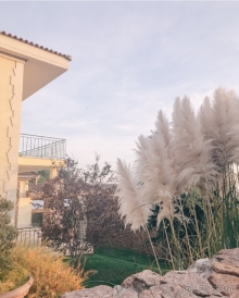 фото Резиденция Крымский Бриз