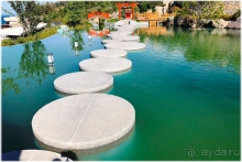 Лучший на ЮБК куроротный коплекс