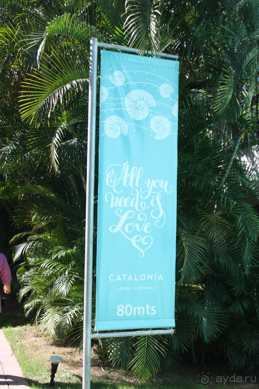 фото Catalonia La Romana