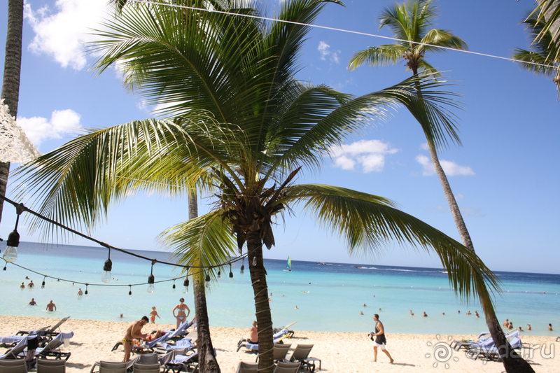 фото Catalonia La Romana