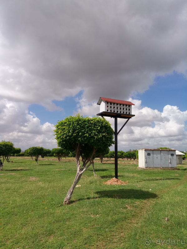 Необычный маяк